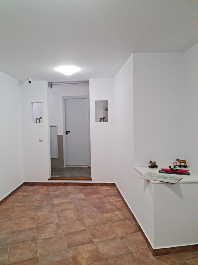 Ca La Nuria Apartman La Seu d'Urgell Kültér fotó